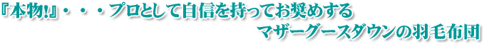 本物のプロとしておすすめするマザーグースの羽毛布団