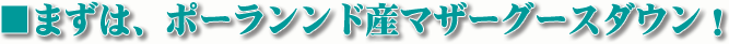 まず、ポーランド産マザーグースダウン