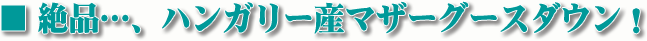 ハンガリー産マザーグースダウン