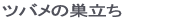 ツバメの巣立ち