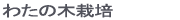 綿の木の栽培
